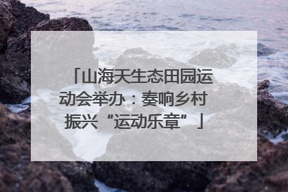 山海天生态田园运动会举办：奏响乡村振兴“运动乐章”