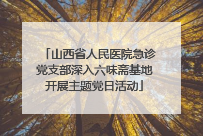 山西省人民医院急诊党支部深入六味斋基地开展主题党日活动