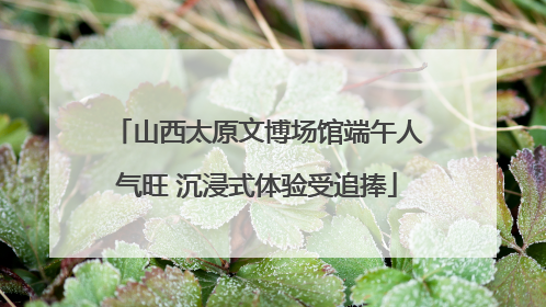 山西太原文博场馆端午人气旺 沉浸式体验受追捧