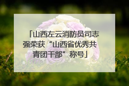 山西左云消防员司志强荣获“山西省优秀共青团干部”称号