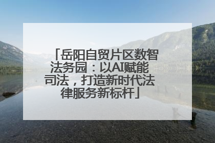 岳阳自贸片区数智法务园：以AI赋能司法，打造新时代法律服务新标杆