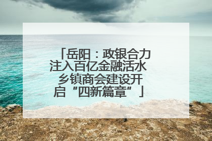 岳阳：政银合力注入百亿金融活水 乡镇商会建设开启“四新篇章”