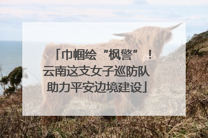 巾帼绘“枫警”！云南这支女子巡防队助力平安边境建设