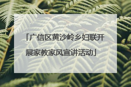 广信区黄沙岭乡妇联开展家教家风宣讲活动