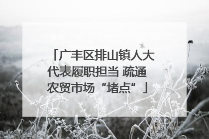 广丰区排山镇人大代表履职担当 疏通农贸市场“堵点”