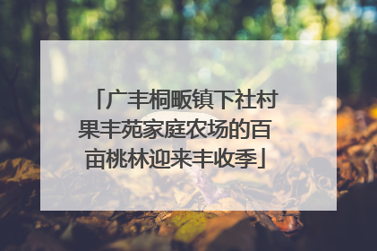 广丰桐畈镇下社村果丰苑家庭农场的百亩桃林迎来丰收季