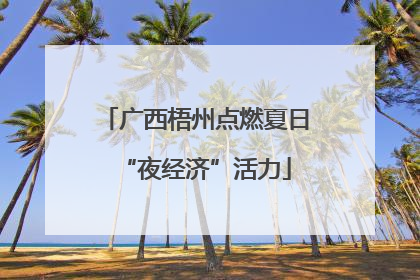 广西梧州点燃夏日“夜经济”活力