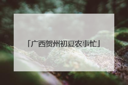 广西贺州初夏农事忙