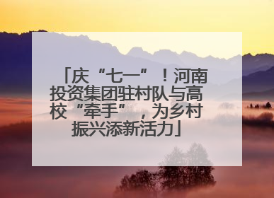 庆“七一”！河南投资集团驻村队与高校“牵手”，为乡村振兴添新活力