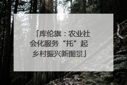 库伦旗：农业社会化服务“托”起乡村振兴新图景