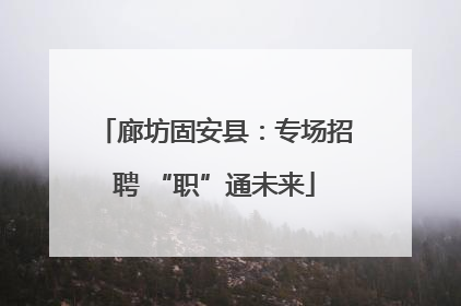 廊坊固安县：专场招聘 “职”通未来