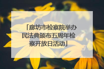 廊坊市检察院举办民法典颁布五周年检察开放日活动