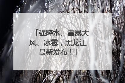 强降水、雷暴大风、冰雹，黑龙江最新发布！