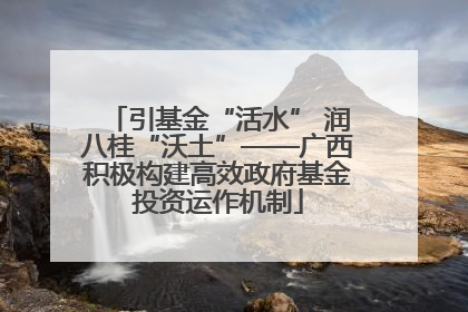 引基金“活水” 润八桂“沃土”——广西积极构建高效政府基金投资运作机制