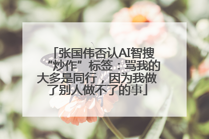 张国伟否认AI智搜“炒作”标签：骂我的大多是同行，因为我做了别人做不了的事