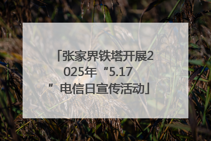 张家界铁塔开展2025年“5.17”电信日宣传活动