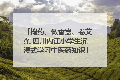 捣药、做香囊、卷艾条 四川内江小学生沉浸式学习中医药知识