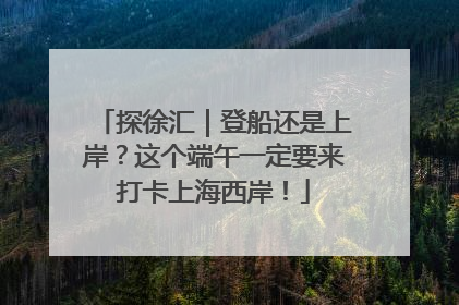 探徐汇｜登船还是上岸？这个端午一定要来打卡上海西岸！