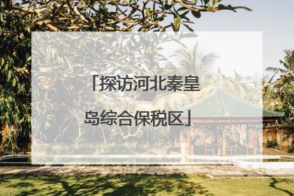 探访河北秦皇岛综合保税区