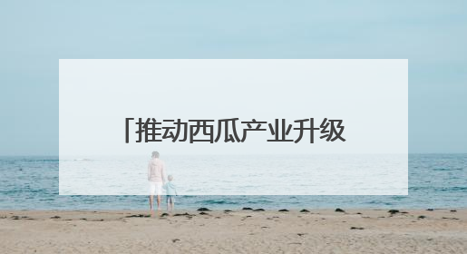 推动西瓜产业升级 助力乡村振兴