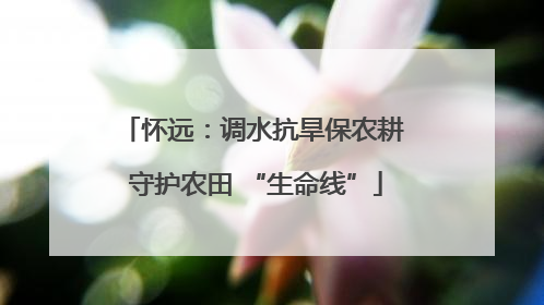 怀远：调水抗旱保农耕 守护农田 “生命线”