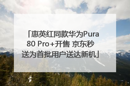 惠英红同款华为Pura 80 Pro+开售 京东秒送为首批用户送达新机