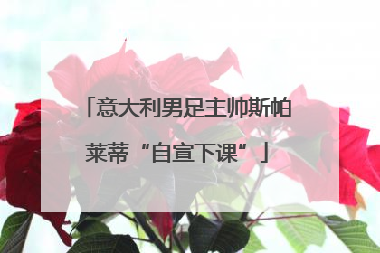 意大利男足主帅斯帕莱蒂“自宣下课”