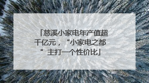 慈溪小家电年产值超千亿元，“小家电之都”主打一个性价比