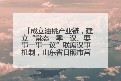 成立油桃产业链，建立“常态一季一议、要事一事一议”联席议事机制，山东省日照市莒县果庄镇——13个党小组“全周期”育果
