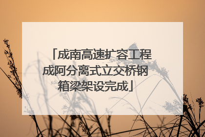 成南高速扩容工程成阿分离式立交桥钢箱梁架设完成