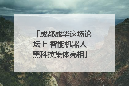 成都成华这场论坛上 智能机器人黑科技集体亮相