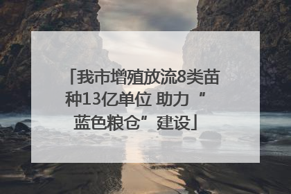我市增殖放流8类苗种13亿单位 助力“蓝色粮仓”建设