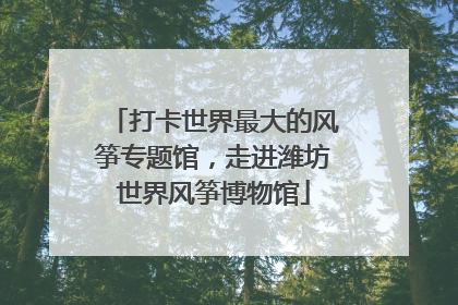 打卡世界最大的风筝专题馆，走进潍坊世界风筝博物馆