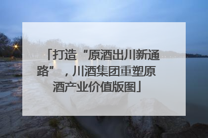 打造“原酒出川新通路”，川酒集团重塑原酒产业价值版图