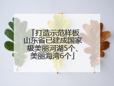 打造示范样板 山东省已建成国家级美丽河湖5个、美丽海湾6个