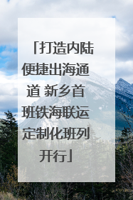 打造内陆便捷出海通道 新乡首班铁海联运定制化班列开行