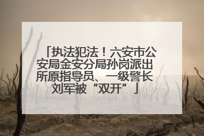 执法犯法！六安市公安局金安分局孙岗派出所原指导员、一级警长刘军被“双开”