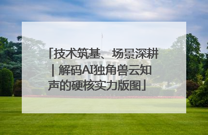 技术筑基、场景深耕｜解码AI独角兽云知声的硬核实力版图