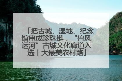 把古城、湿地、纪念馆串成珍珠链，“鲁风运河”古城文化廊道入选十大最美农村路