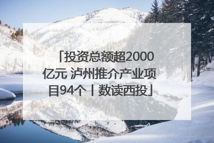 投资总额超2000亿元 泸州推介产业项目94个丨数读西投