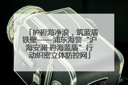 护碧海净浪，筑蓝盾铁壁——浦东海警“沪海安澜·碧海蓝盾”行动织密立体防控网