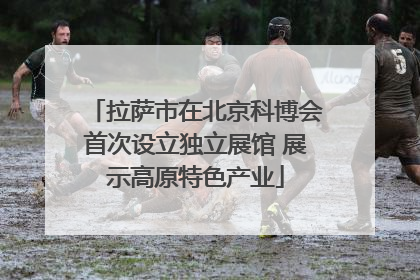 拉萨市在北京科博会首次设立独立展馆 展示高原特色产业
