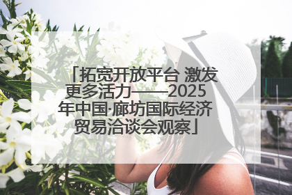拓宽开放平台 激发更多活力——2025年中国·廊坊国际经济贸易洽谈会观察