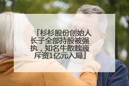杉杉股份创始人长子全部持股被强执，知名牛散魏巍斥资1亿元入局