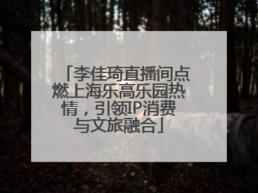 李佳琦直播间点燃上海乐高乐园热情，引领IP消费与文旅融合