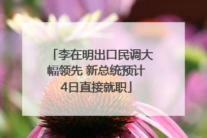 李在明出口民调大幅领先 新总统预计4日直接就职