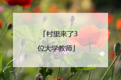 村里来了3位大学教师