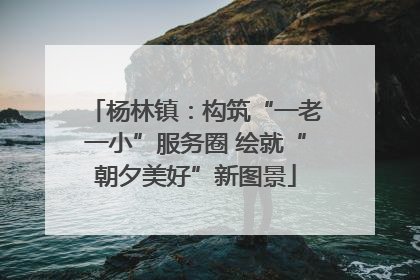 杨林镇：构筑“一老一小”服务圈 绘就“朝夕美好”新图景