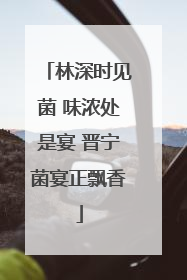 林深时见菌 味浓处是宴 晋宁菌宴正飘香