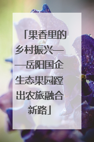果香里的乡村振兴——岳阳国企生态果园蹚出农旅融合新路